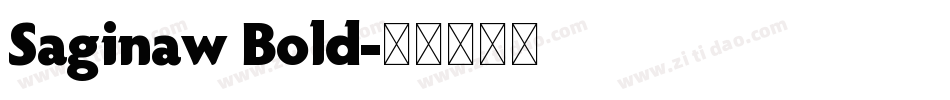 Saginaw Bold字体转换